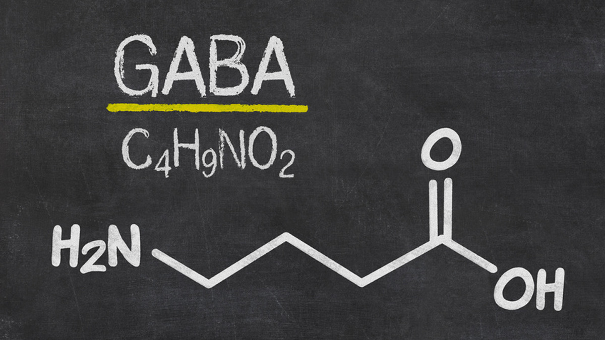 Valerian Root Affects GABA In Dogs