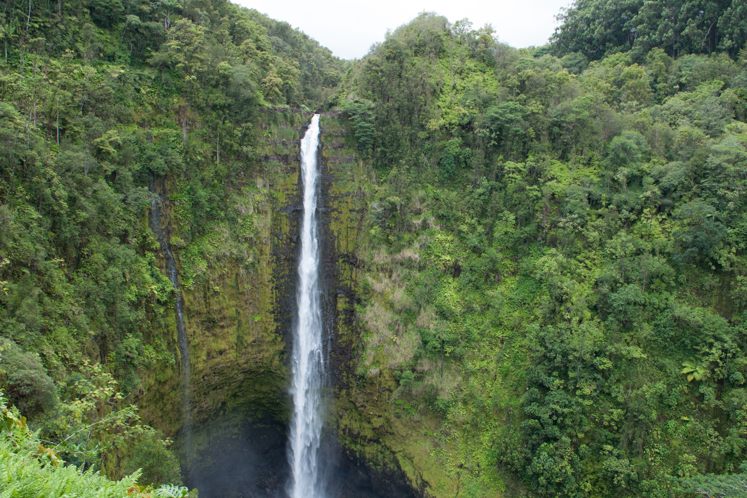 the majestic pu uka oku water falls