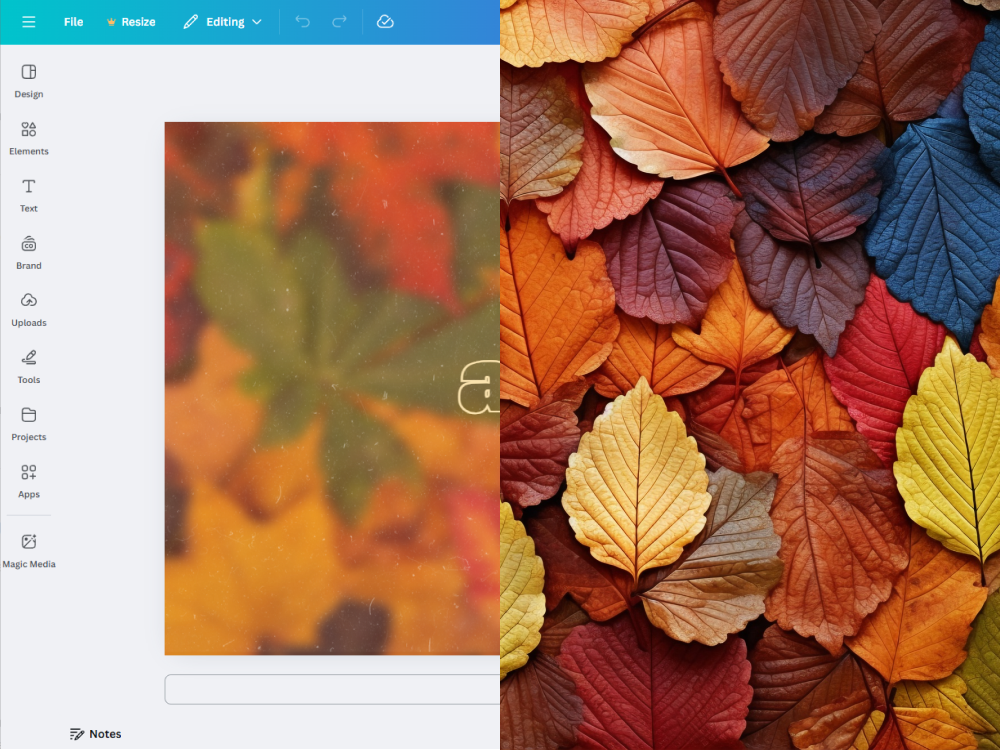 Popular Tools and Methods for Creating Backgrounds