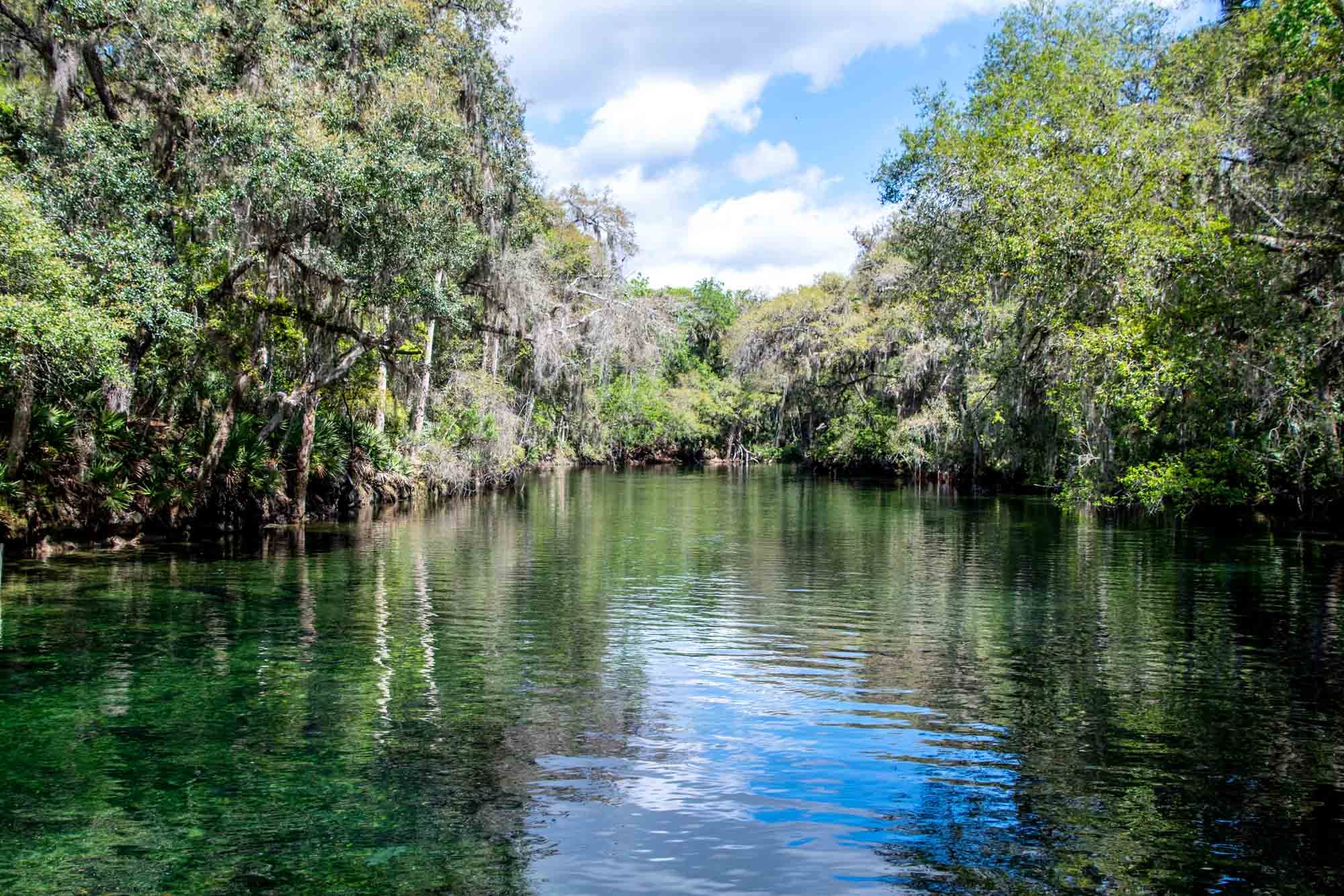 Discovering Blue Spring State Park