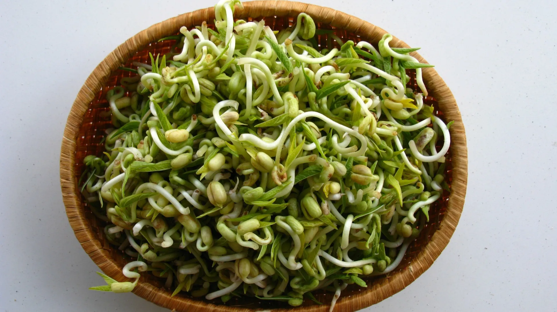 Can Bean Sprouts Be Eaten Raw