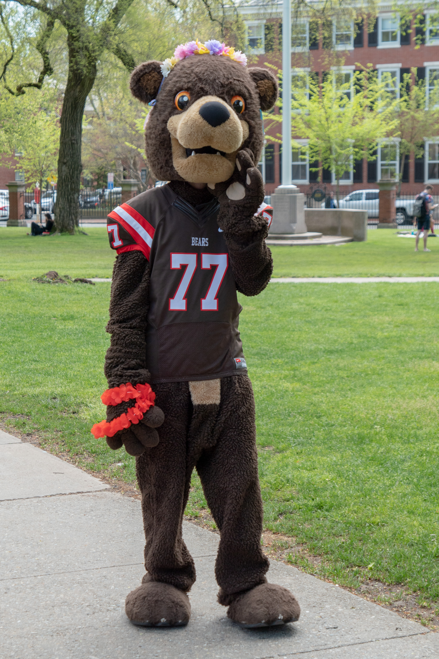 How Hard Is It To Get Into Brown? This is Brown mascot a bear. It showcases that accepted students on the brown campus will find active engagement when attending brown.