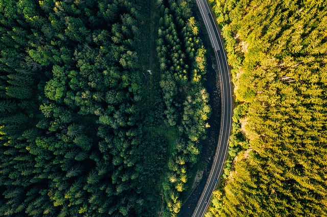 road, drone, aerial