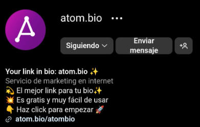 que es la bio de instagram