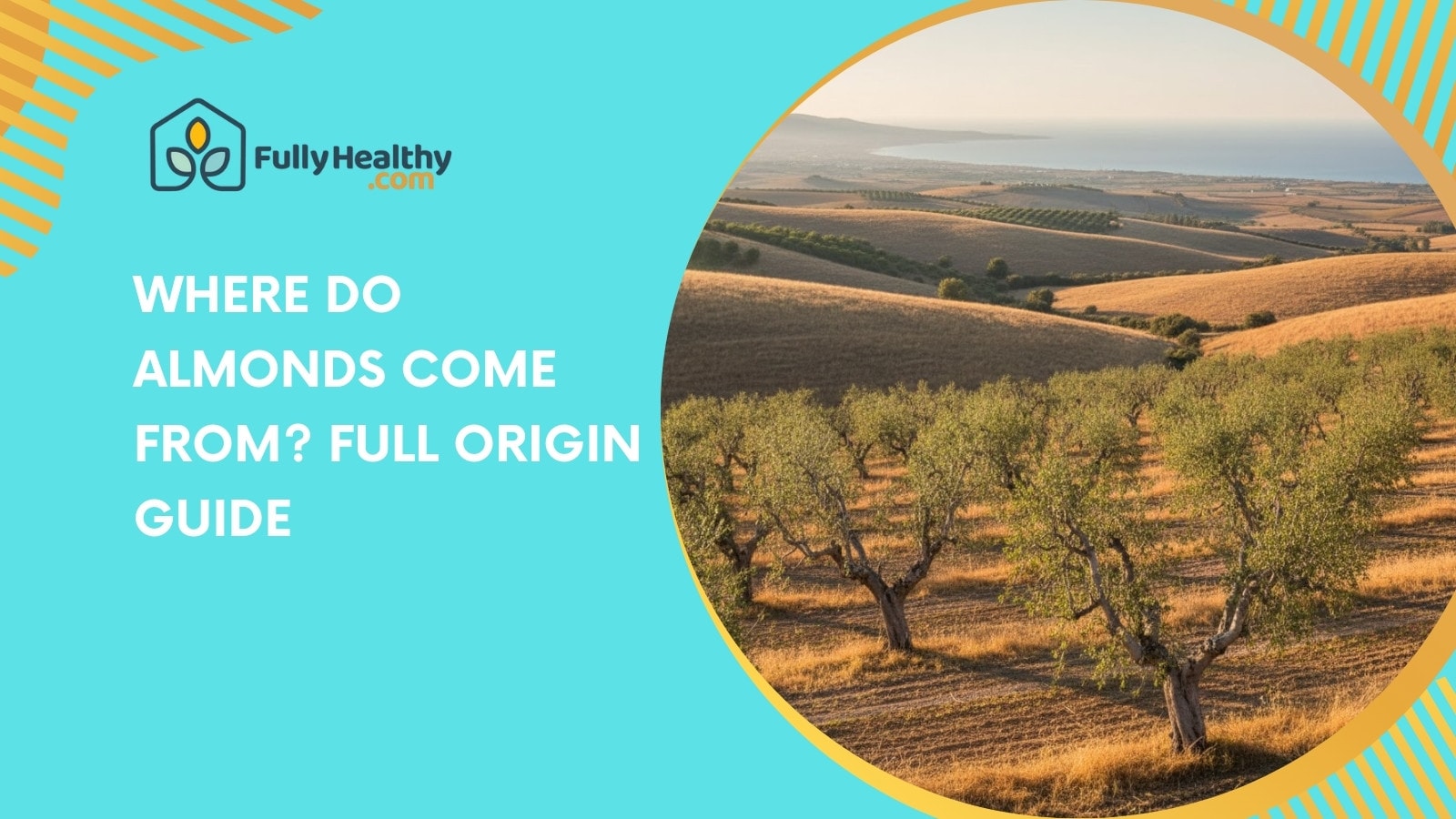 Where Do Almonds Come From? Full Origin Guide