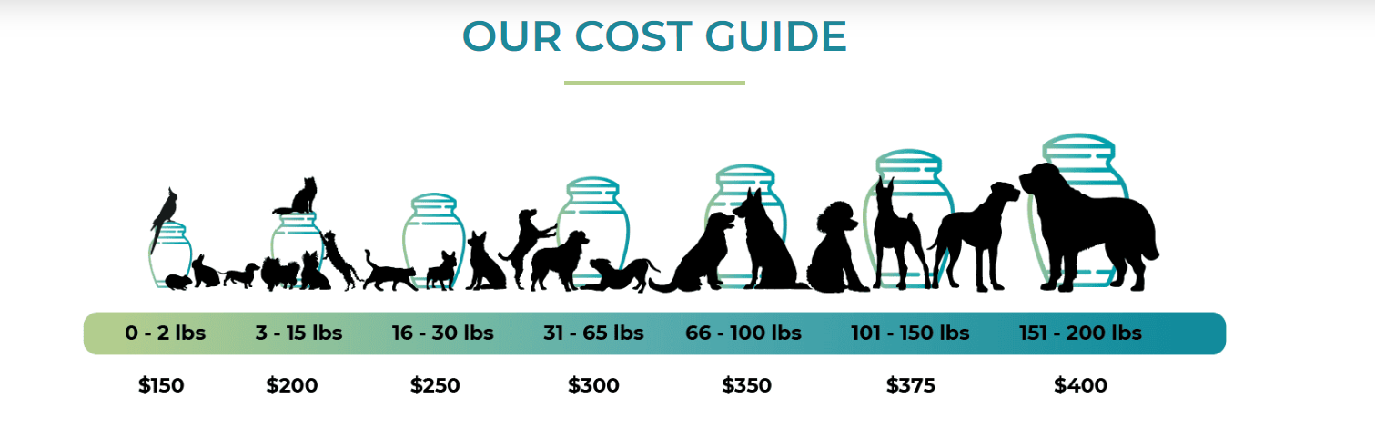 So Loved Pets Cost Guide