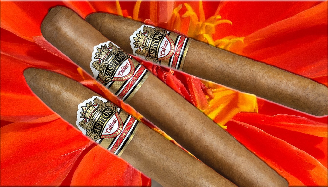 Ashton Cabinet Tres Petite cigar with creamy smoke.