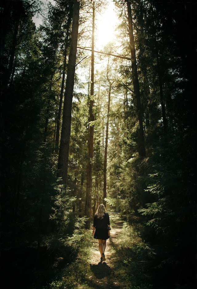 Find happiness in nature. Stay grounded while walking through the forest. Slowing down is key to enjoying life.
