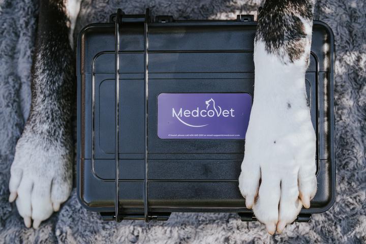 Why Medcovet Luma is helpful for dogs doing agility