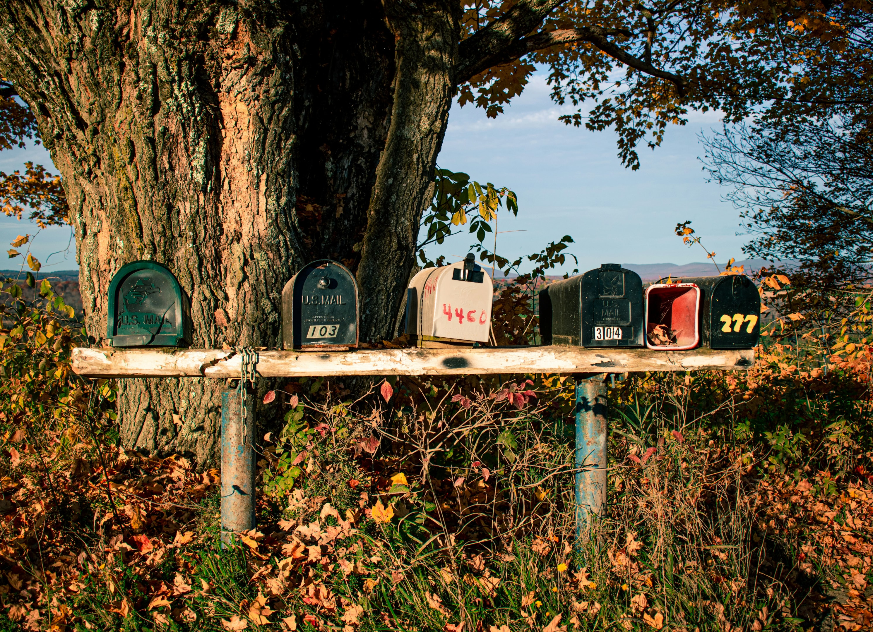 Mailboxes of real estate owners being targeted by local investors.