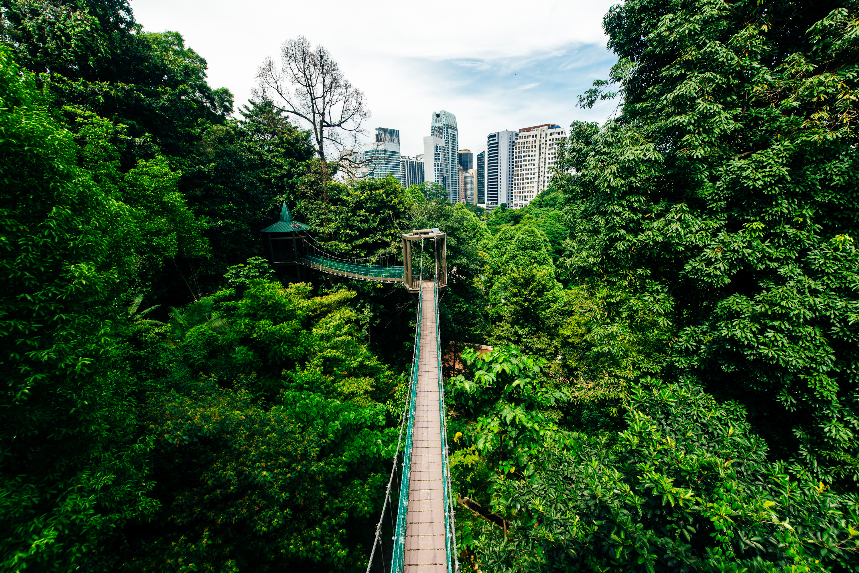 Places to Visit in KL for Free- KL Forest ECO Park