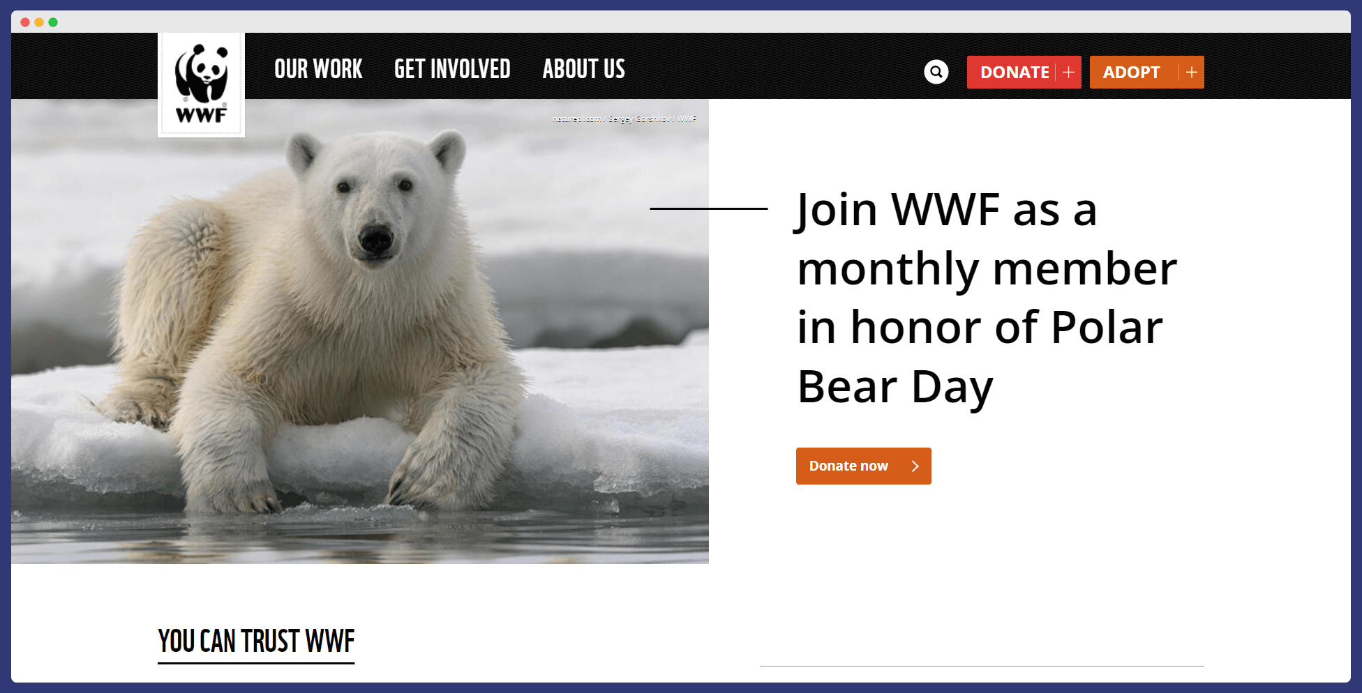 World Wildlife Fund website's homepage