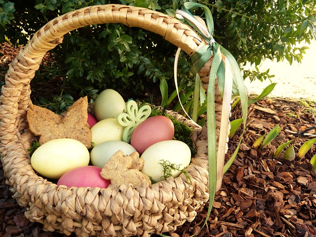 easter nest, easter eggs, colored