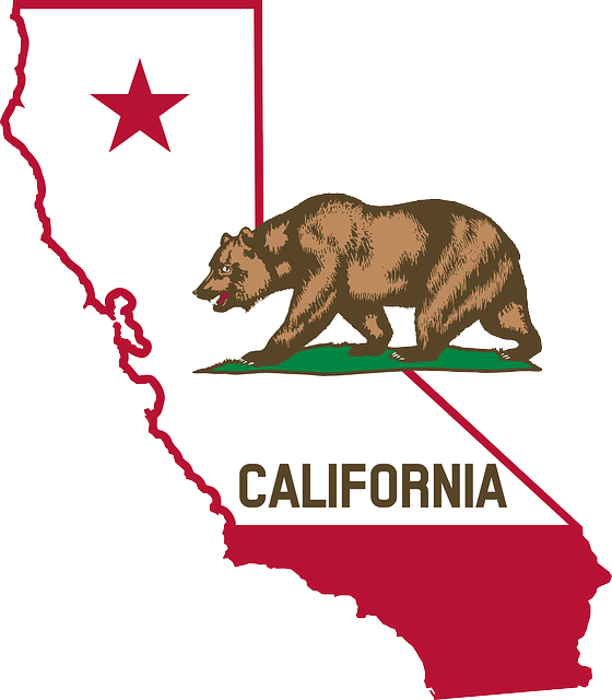 california, bear, flag, business loans in california