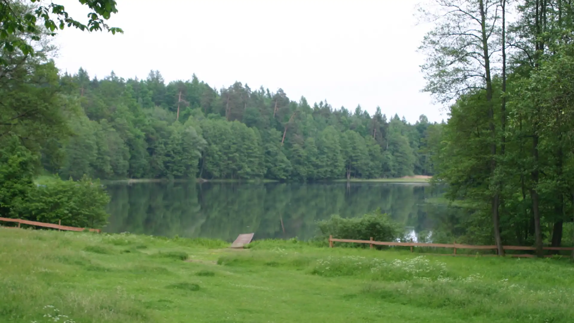 Hotel w lesie nad jeziorem - okolica Natural Hotel