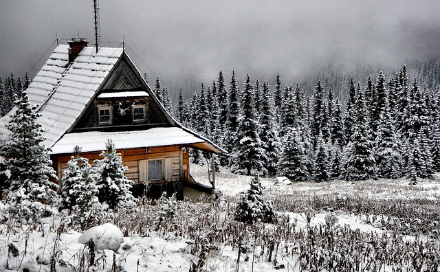 cabin, house, mountain
