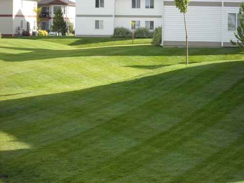 landscaping professionals