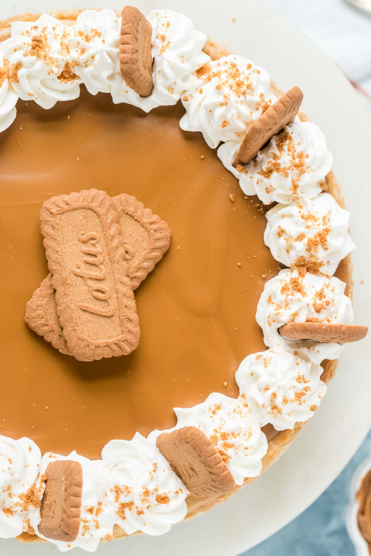 top down view of a biscoff cheesecake on a cake stand
