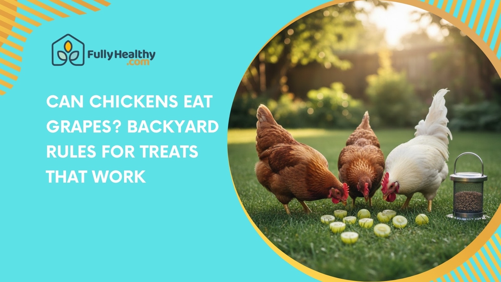 Can Chickens Eat Grapes? Backyard Rules For Treats That Work