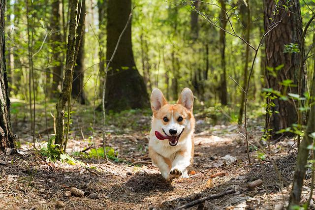 7 Tips for Hiking in Hot Weather - National Parks Backpacker