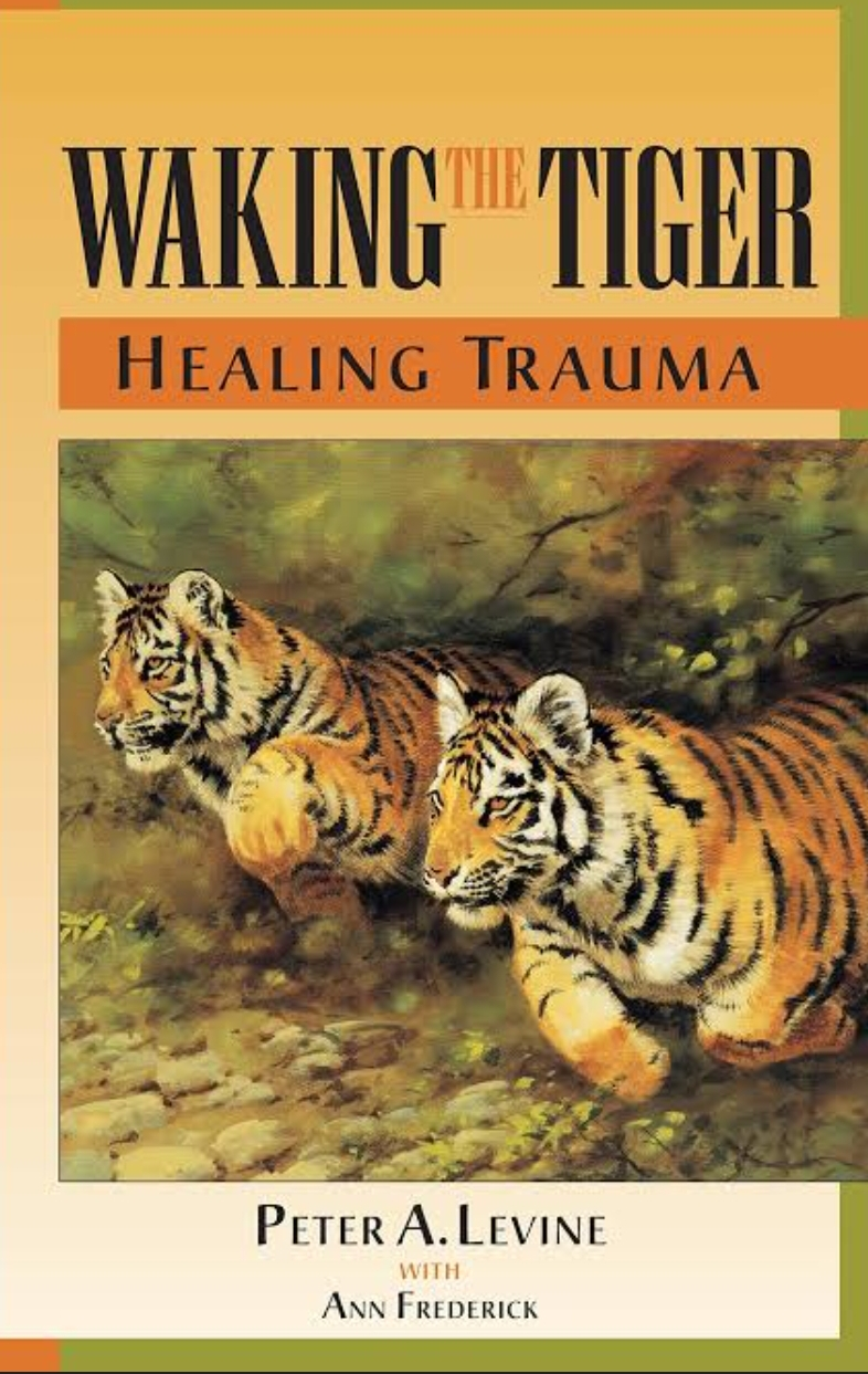 Highly acclaimed work waking the tiger published by sounds true 