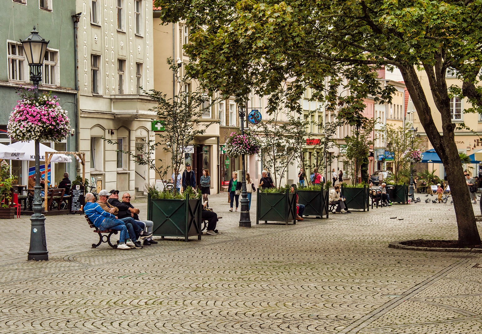 Stary Rynek w Zielonej Górze