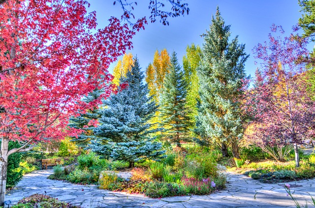 Veterans suffering with PTSD can find peace in nature and a va loan can help you get the home you need.