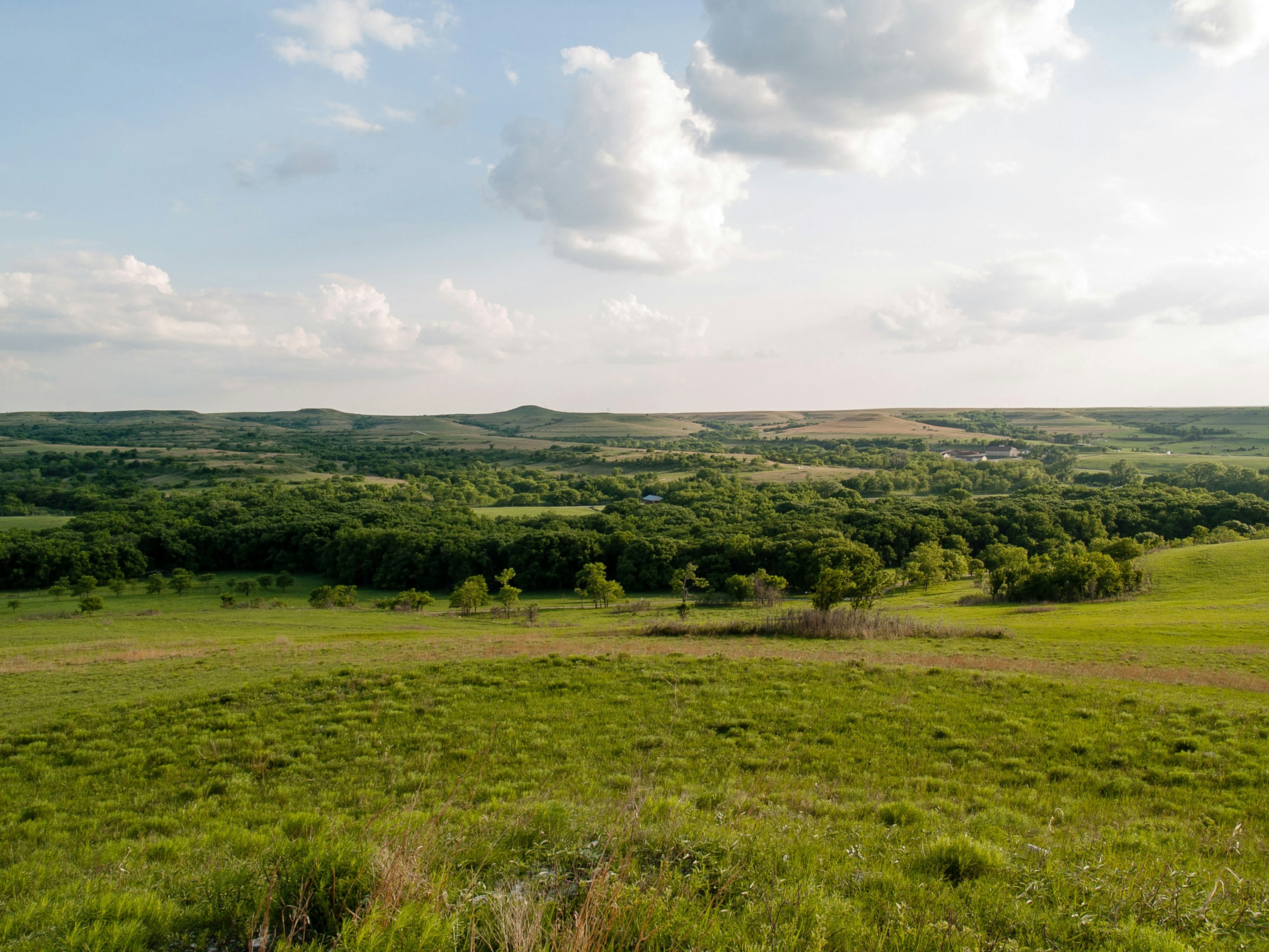 how to sell mineral rights in kansas