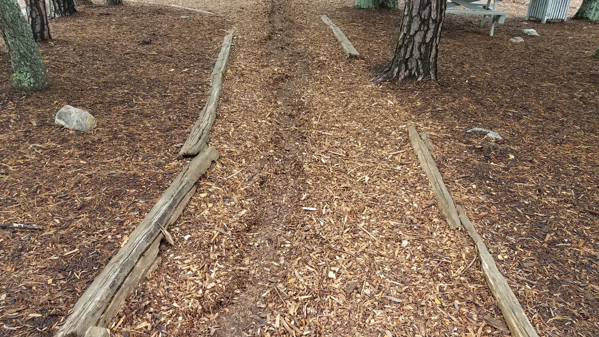 Un sentier recouvert de copeaux de bois.