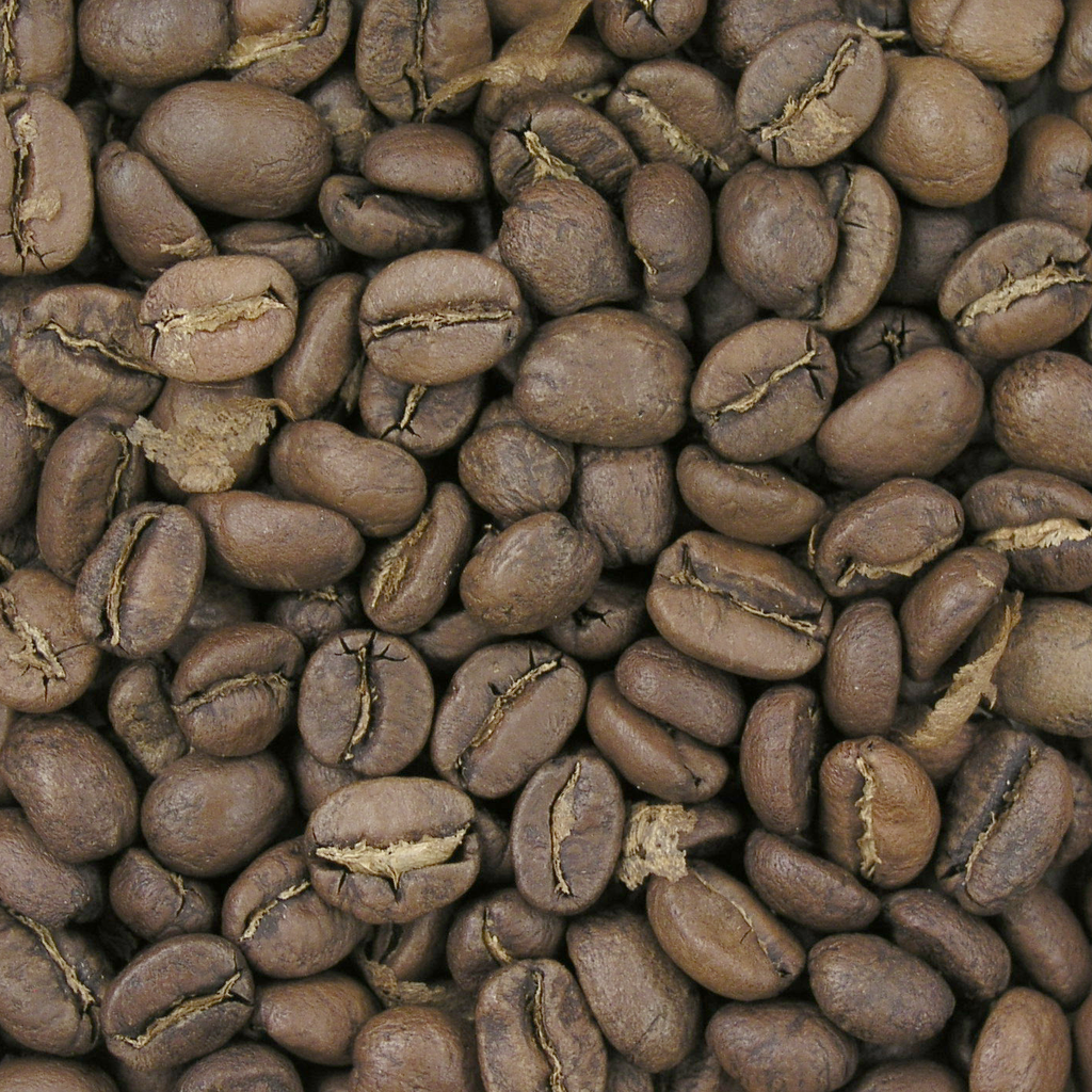 light roast new england roast variety