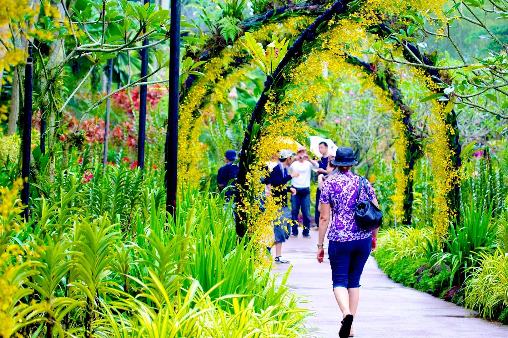 Visitor walking through orchid-covered archway garden path