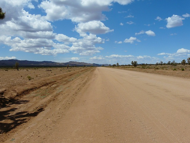 mojave desert, joshua tree national park, road