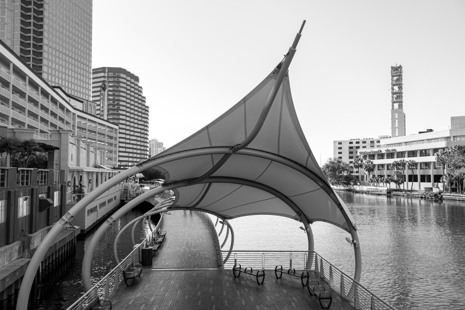 A black-and-white image of a covered riverside walkway in Tampa, offering a tranquil scene with modern architectural design. This public space represents how Tampa telecom solutions and telecom system upgrades ensure businesses stay connected in an evolving landscape.
