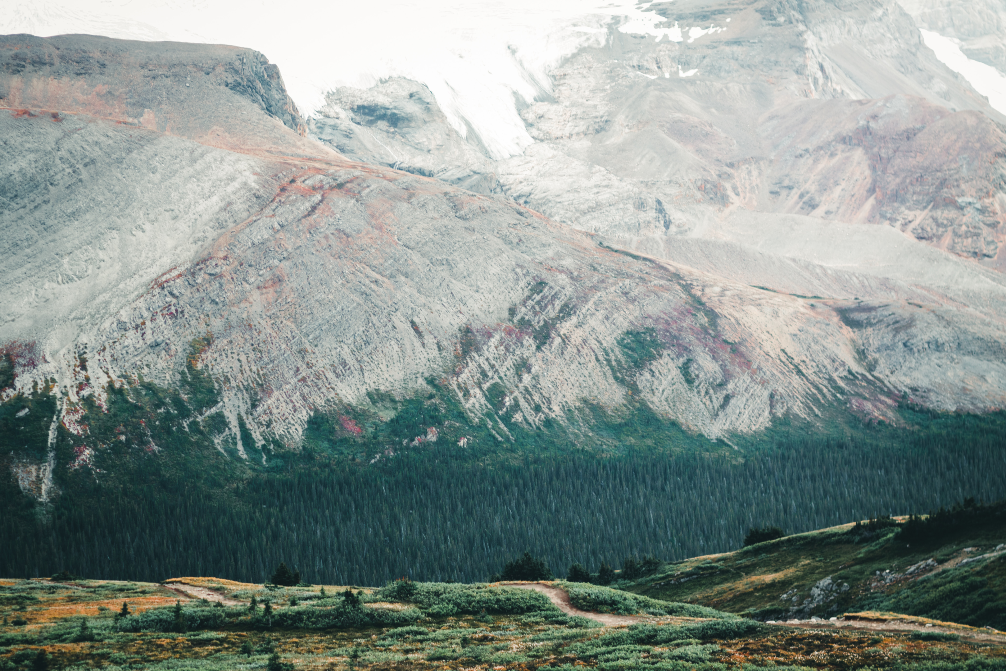 The word 'wilderness' is the theme for canada parks for at least the last few decades