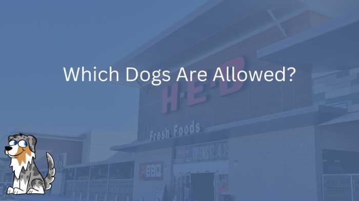 Image Text: Which Dogs Are Allowed?
