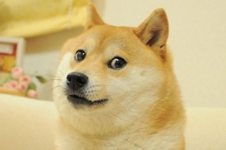 Doge NFT