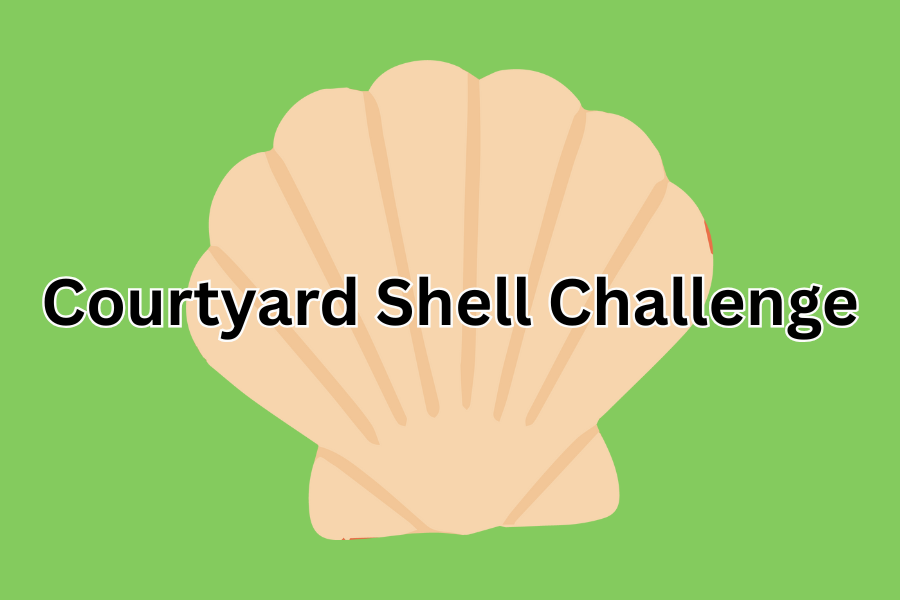Courtyard Shell Challenge