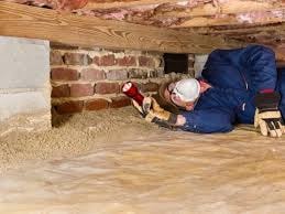 Pest Inspection | Building and Pest Inspection | Building Inspection 