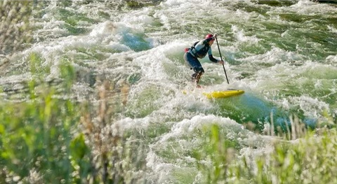 whitewater paddle board
