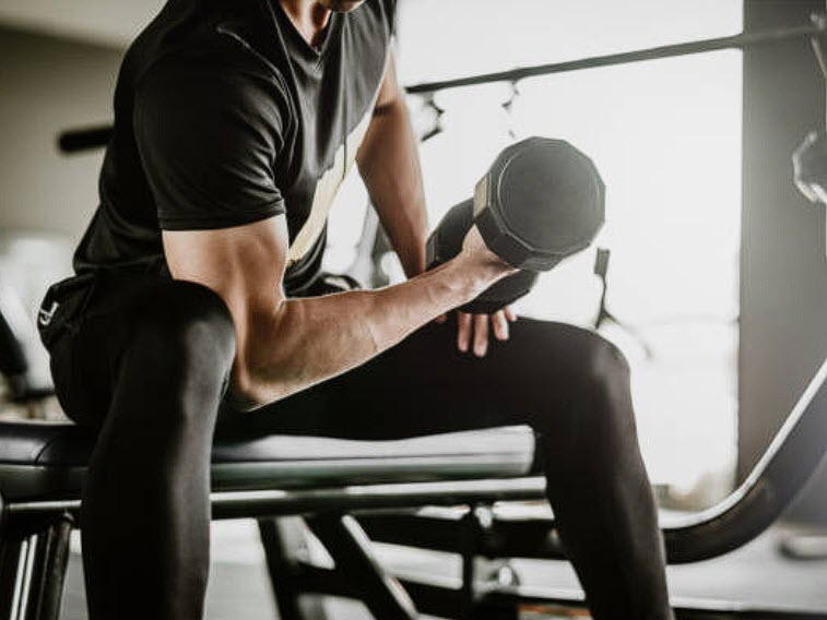 Bicep Workout, muscle group, muscle hypertrophy, upper arms