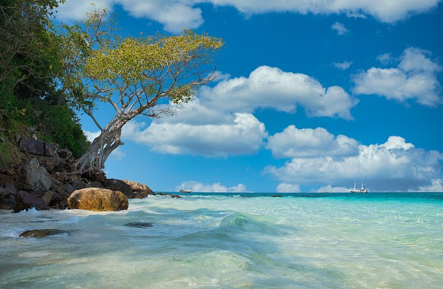 beach, sea, sand