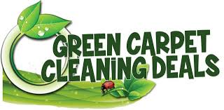 Guide To Selecting The Best Carpet Cleaner Virginia 7 Best Carpet Cleaner Virginia Deals