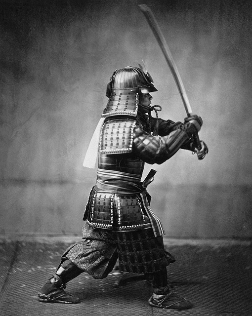 samurai, warrior, samurai fighter