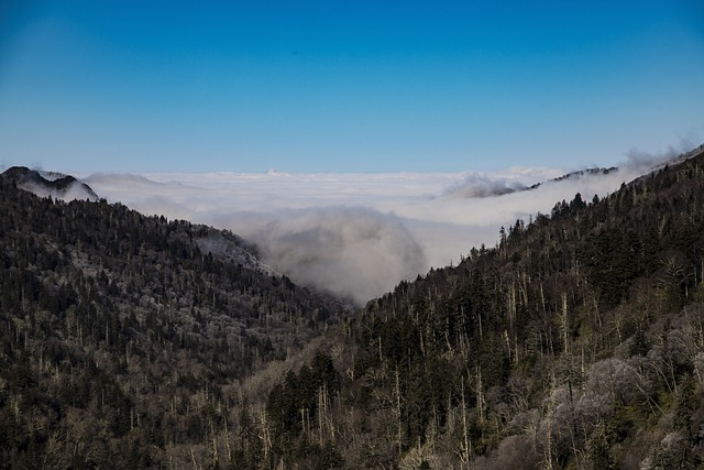 smokey mountain national park, mountains, nature