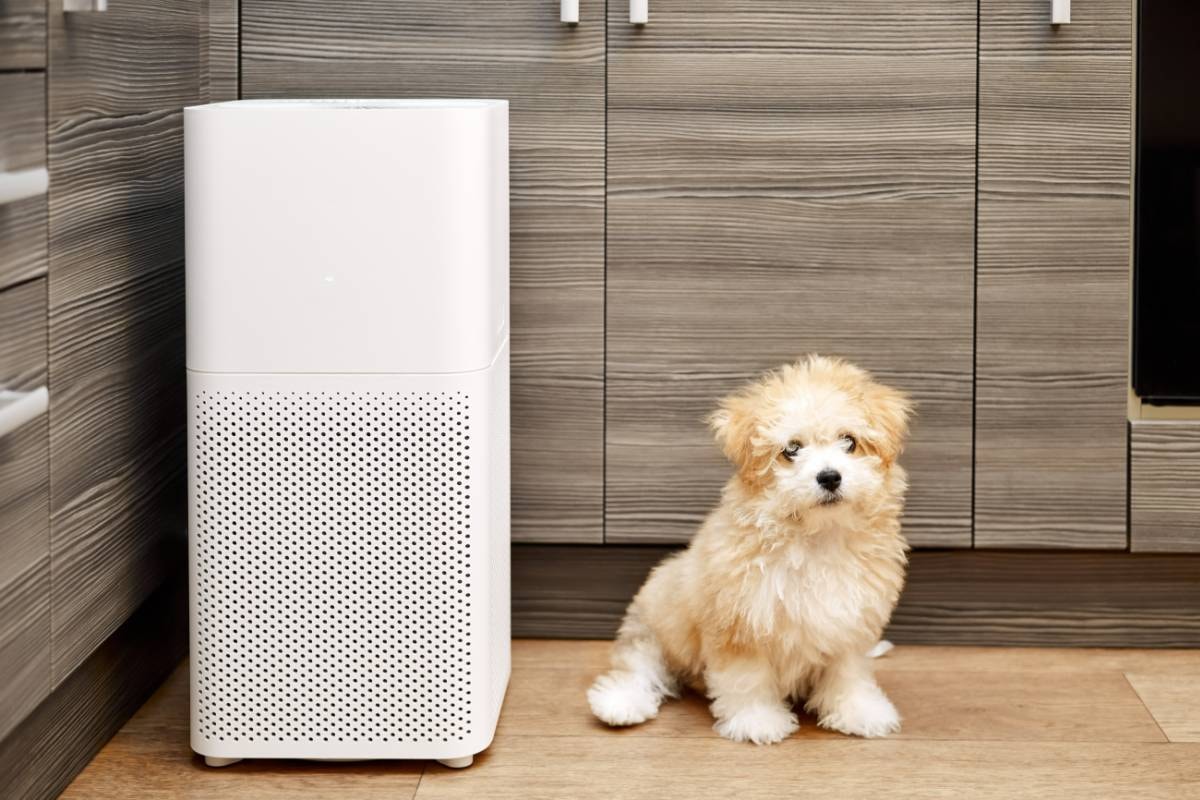 A fluffy puppy sits next to a compact air purifier in a kitchen setting, demonstrating how Air Purifiers for Dogs can keep indoor air fresh and clean