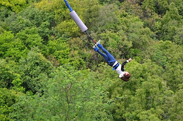                                                                bungee jump, landscape