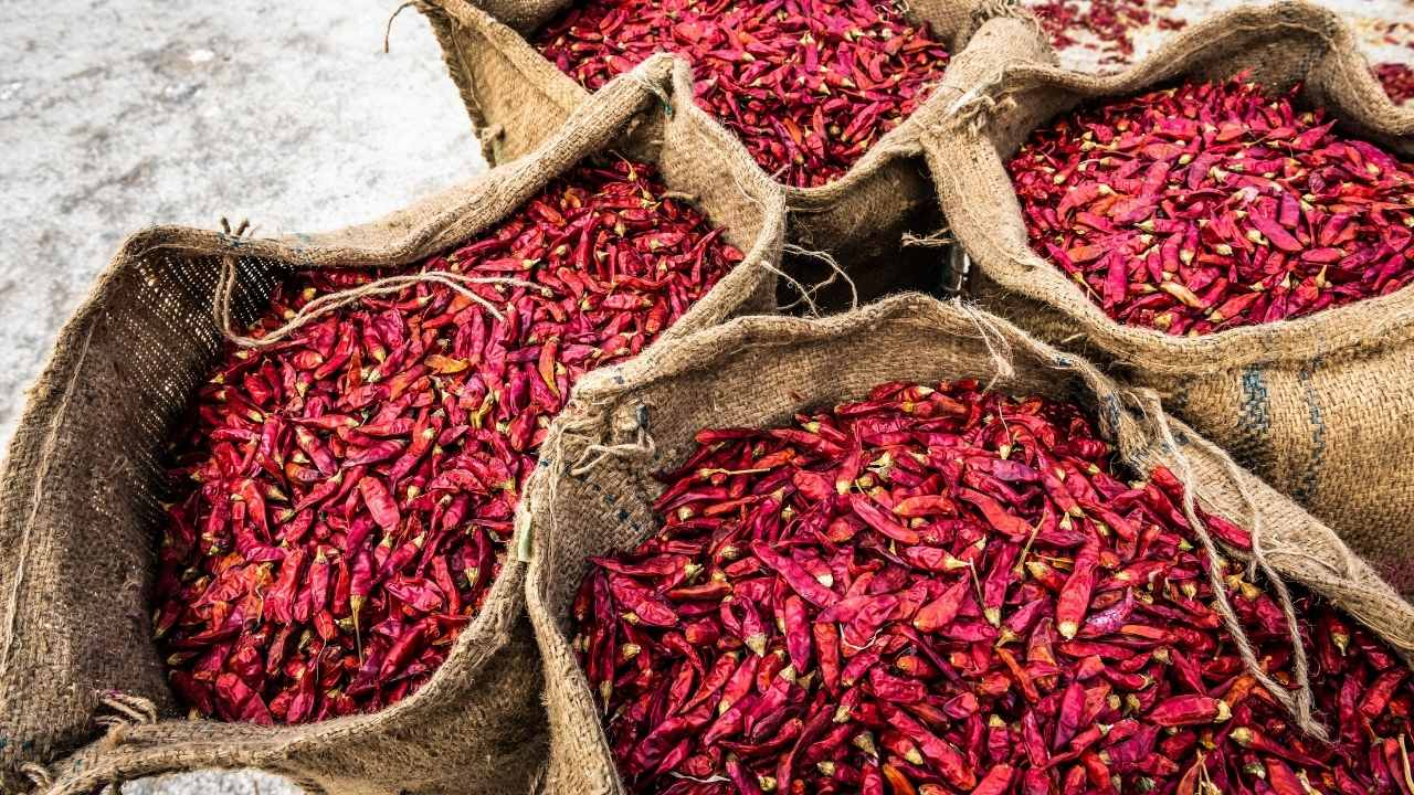 Pakistan, chilli, ingrediants