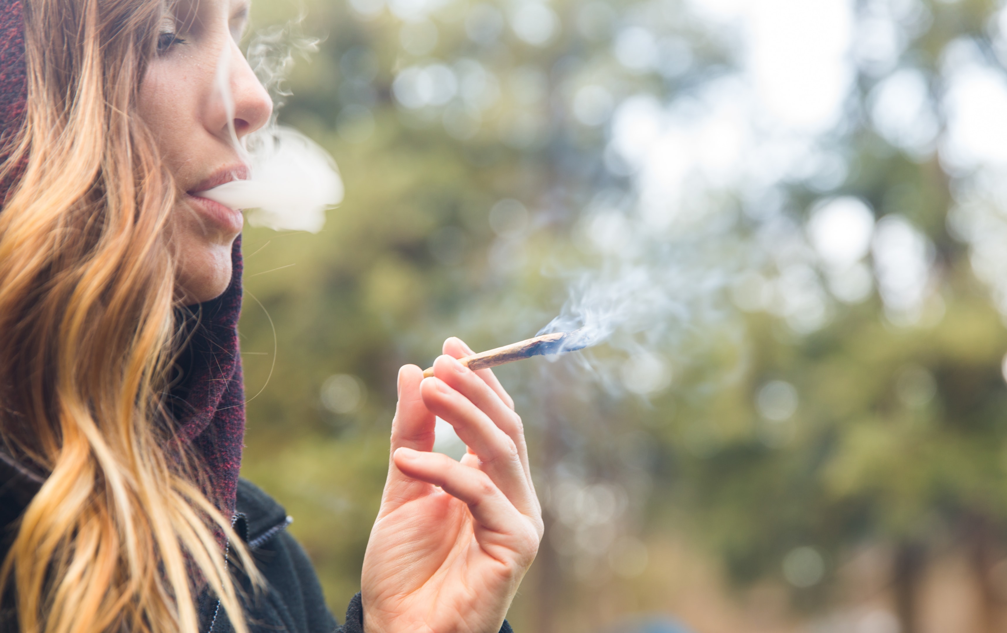 THCA Pre Rolls vs. THCA Flower: Which is Better?
