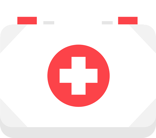 first aid kit, emergency kit, health kit, cutout