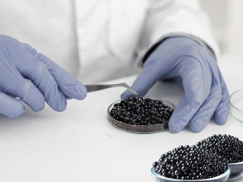 Image showing the process of caviar production and why it's considered a delicacy.